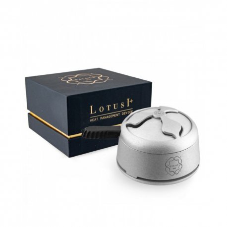 KALOUD LOTUS REPLİKA MODEL